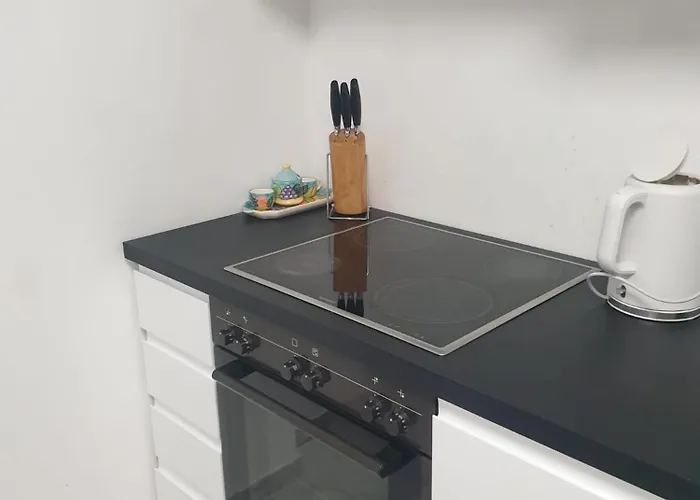 アパート Appartamento Massagno 76 *