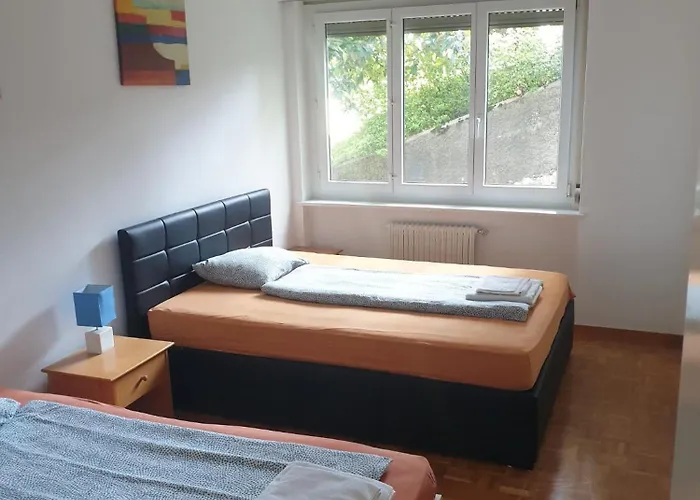 アパート Appartamento Massagno 76 *